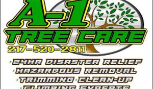 A1 Tree Care