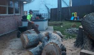 Tree Service Decatur