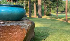 Spencer Landscaping & Tree Service