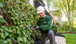 The Davey Tree Expert Company