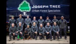 Joseph Tree Service