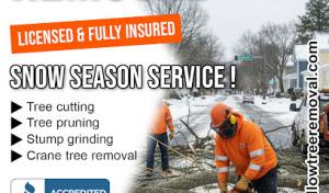 Willow Fast Tree Service