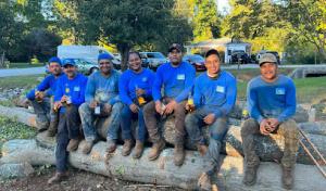 Aguilar Tree Service