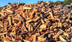 Timberwolf Tree Service