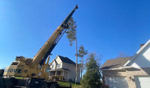 Leveled Up Tree & Crane