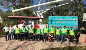 Artistic Arbor Gardens