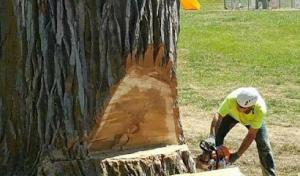 American Tree Care