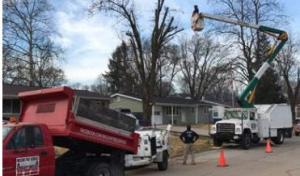 Wilson Outdoor Services