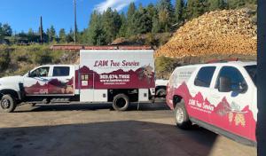 LAM Tree Service