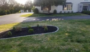 Environmental Septic
