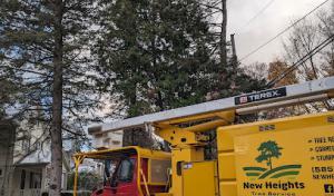 New Heights Tree Services