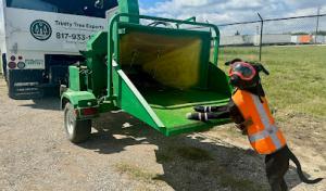 Trinity Tree Expert Company