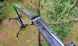 Dirty Dawgz Tree Service