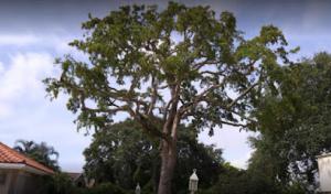 EBM Property Maintenance