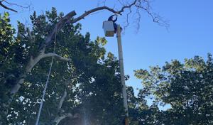 JR Landscaping Services