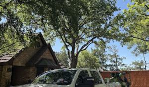 One Stop Tree Service