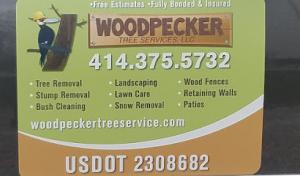 woodpecker tree services