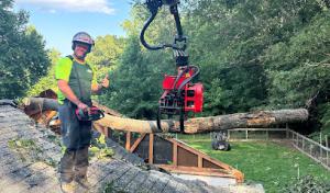 Branson's Tree Service