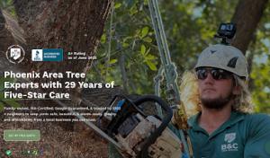 B&C Tree Services