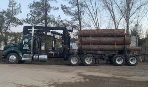 All Phase Land Clearing