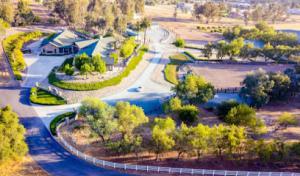 Dominguez Tree Service