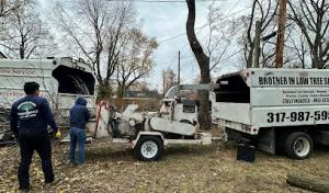 Brother in Law Tree Service