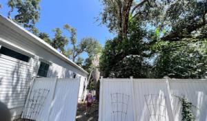 Mohawks tree services