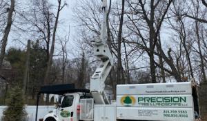 Precision Tree & Landscape