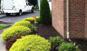 RPM Landscape Contractor