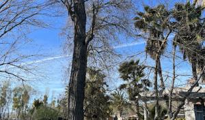 Septic Works of the Lowcountry
