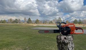 Joe's Stump Grinding