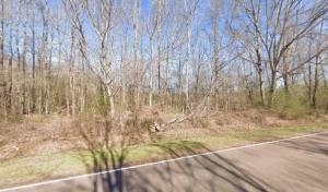 Johnsons Tree Services