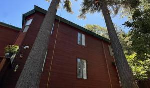 All Of The Above Tree & Yard Services