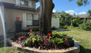 Oaks Lawn & Tree Service