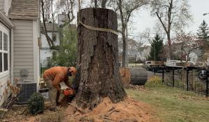 All-American Septic Pumping & Services