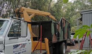 Beechnut Tree Service