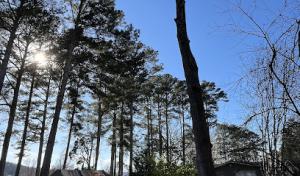 ILS (Innovative Land Solutions)