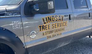 Lindsay tree service