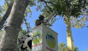 Whistle Punk Tree WoRx