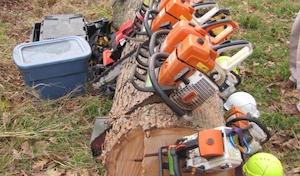 Iowa City Tree Service