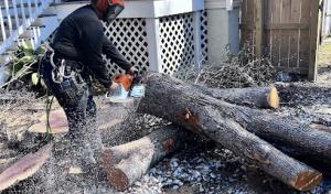 Salvation Land Management