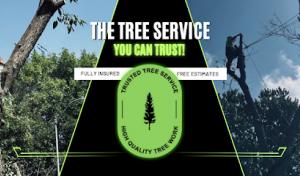 Trusted Tree Service