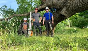 K&H Tree Service