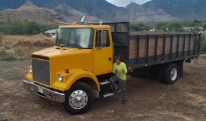 A Plus Tree Service, Honolulu-Waianae, Hawaii