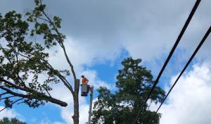 Defined Property Solutions