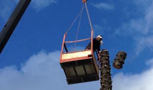 Golden Bough Tree Service