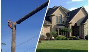 Capital City Landscape & Tree Service