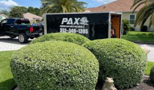PAX Premium Lawn Care & Tree Service