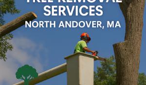 Amigos Landscaping & Tree Removal