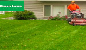 MARLIN - Septic Tank Cleaning, Inspection, Installation, & Repair